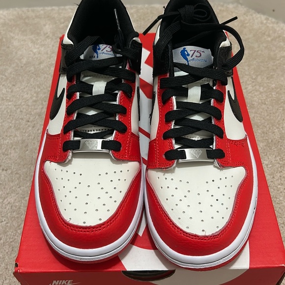 Dunk low big kid 5.5y